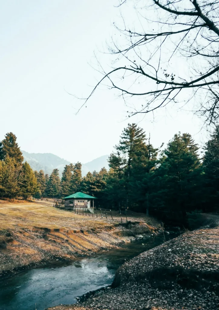 Nature Retreats