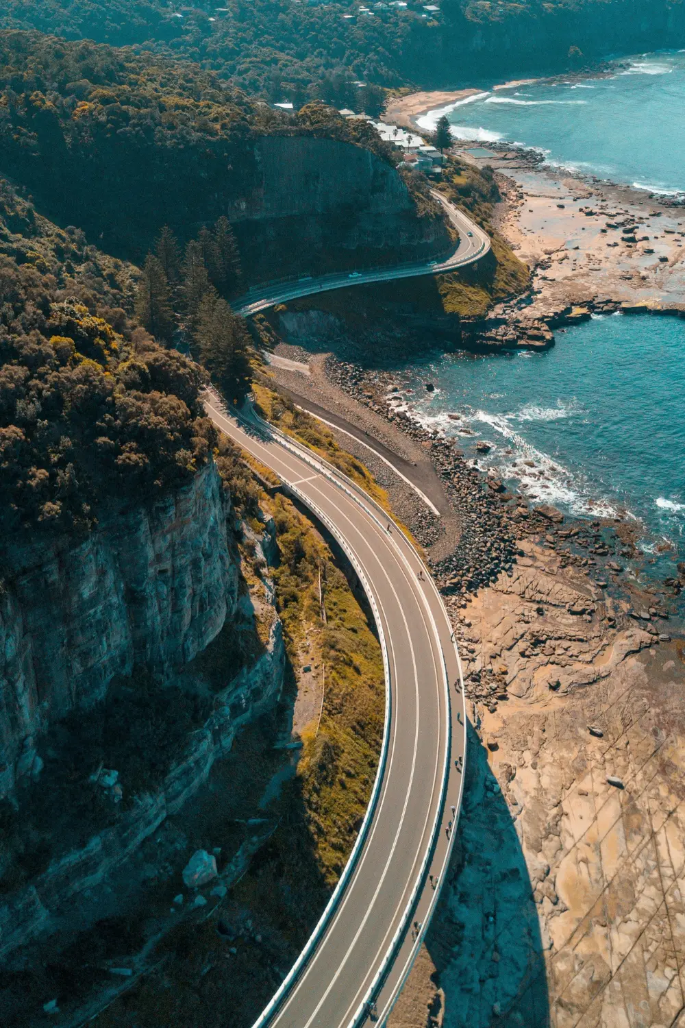 Octopus Travel Australia: Exploring the Coast Like an 8-Armed Adventurer