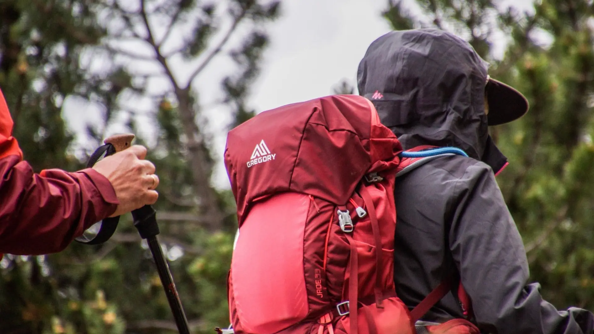 Travel PCT: How to Plan, Hike, and Thrive on the Legendary Pacific Crest Trail