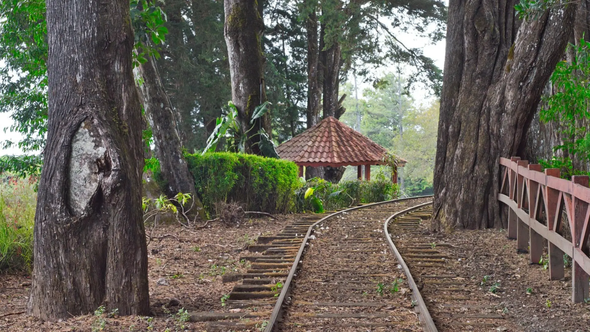 Crossroads Travel: How to Embrace Life-Changing Journeys at the Turning Points of Your Life
