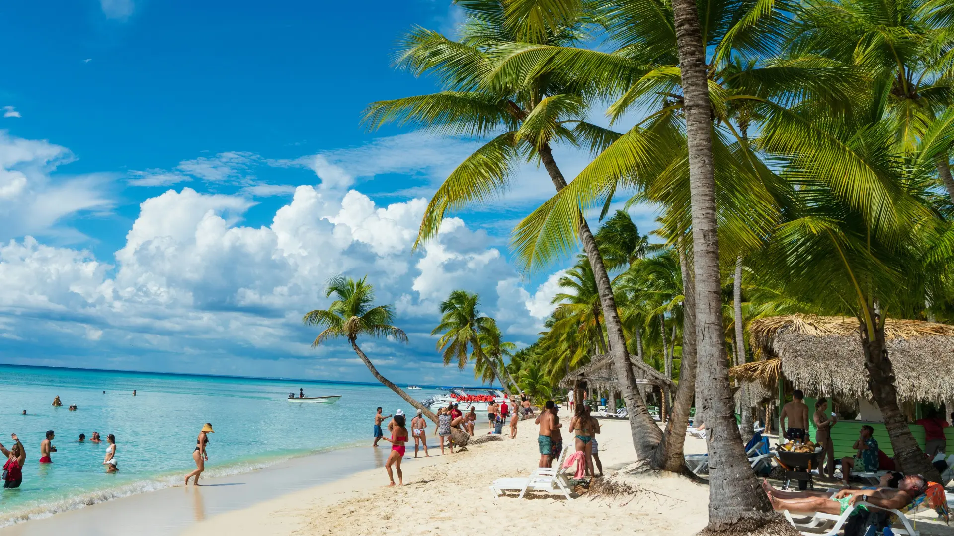 Essential Dominican Travel Advisory 2025: What You Need to Know Before You Go