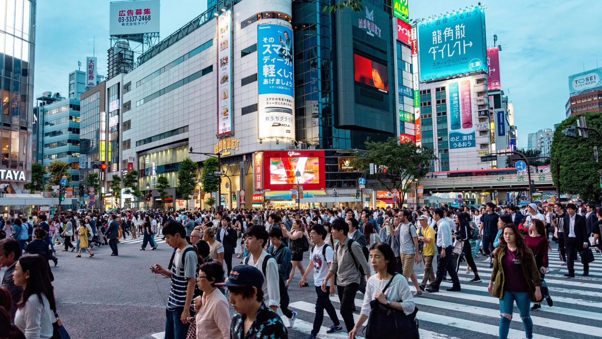 The Ultimate Japan Travel Itinerary: 10 Days to Explore Tokyo, Kyoto, Osaka & Beyond