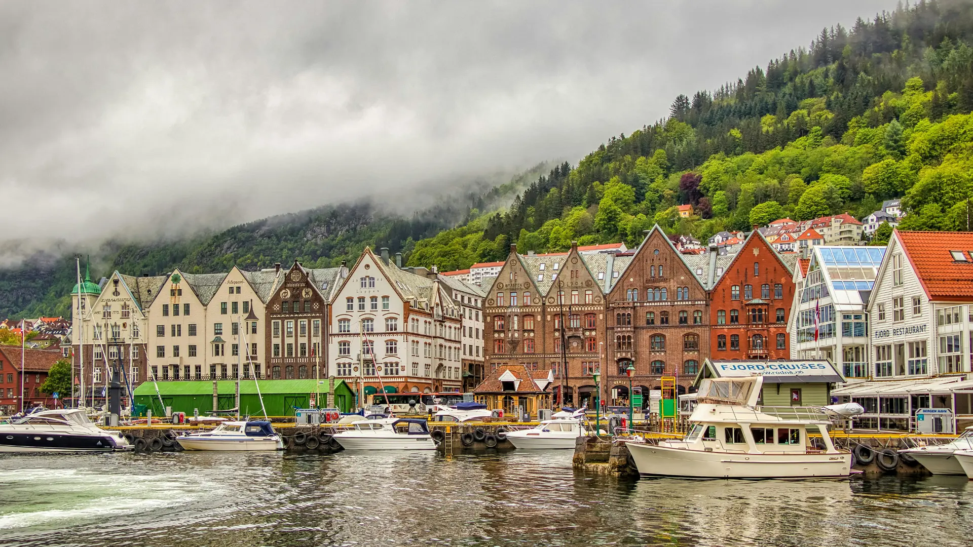 Norway Travel Packages: Your Complete Guide to Exploring Fjords, Northern Lights, and Viking Heritage