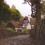 flora travel madeira