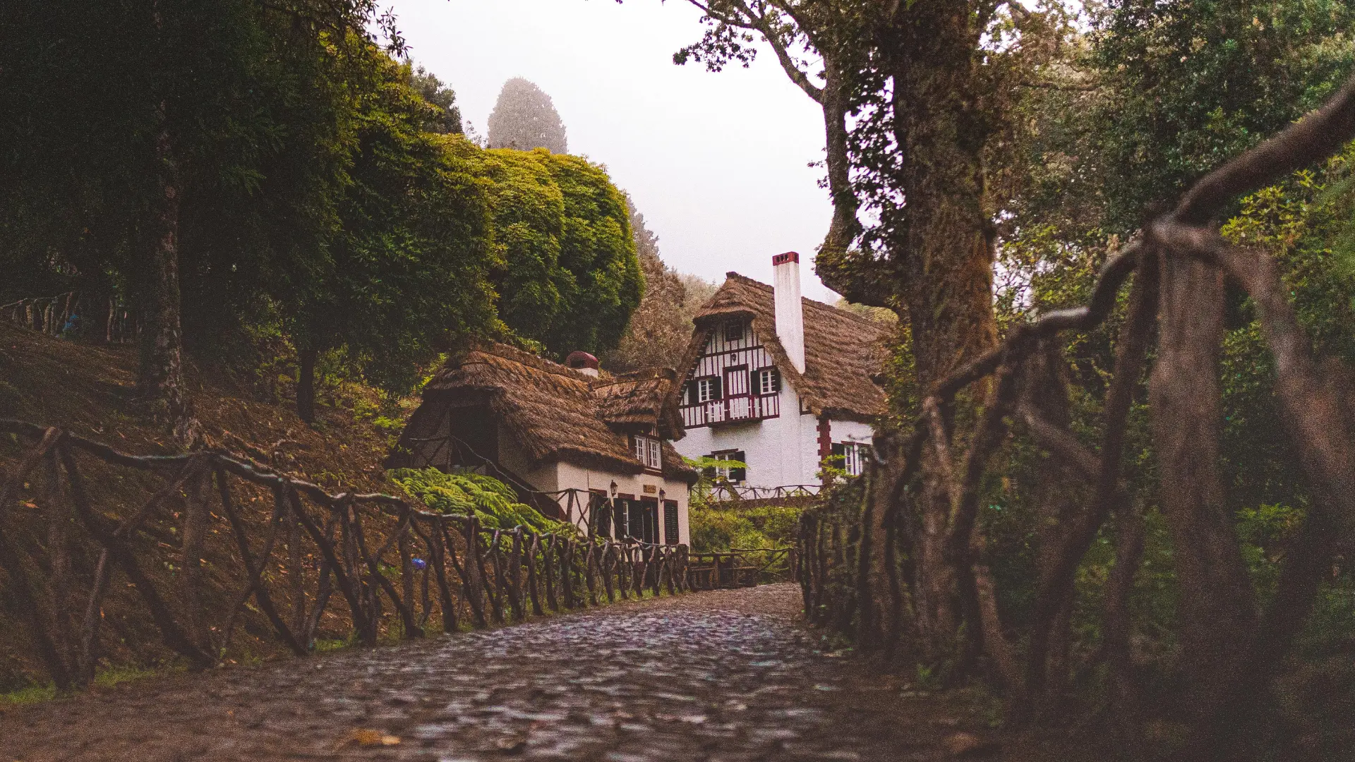 Flora Travel Madeira: Discovering the Island’s Unique Botanical Wonders