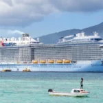 royal caribbean travel agent