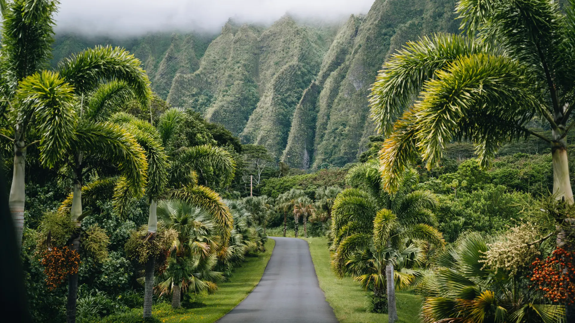 Hawaii Travel Guide 2025: Best Islands, Top Activities, and Insider Tips for Your Dream Vacation