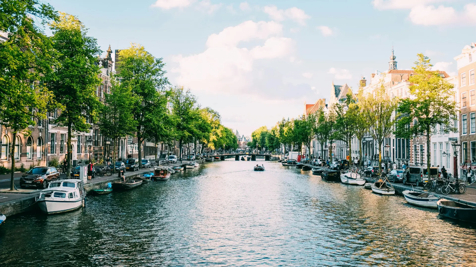 Best Time to Travel to Netherlands: Seasonal Guide for Weather, Events, and Budget