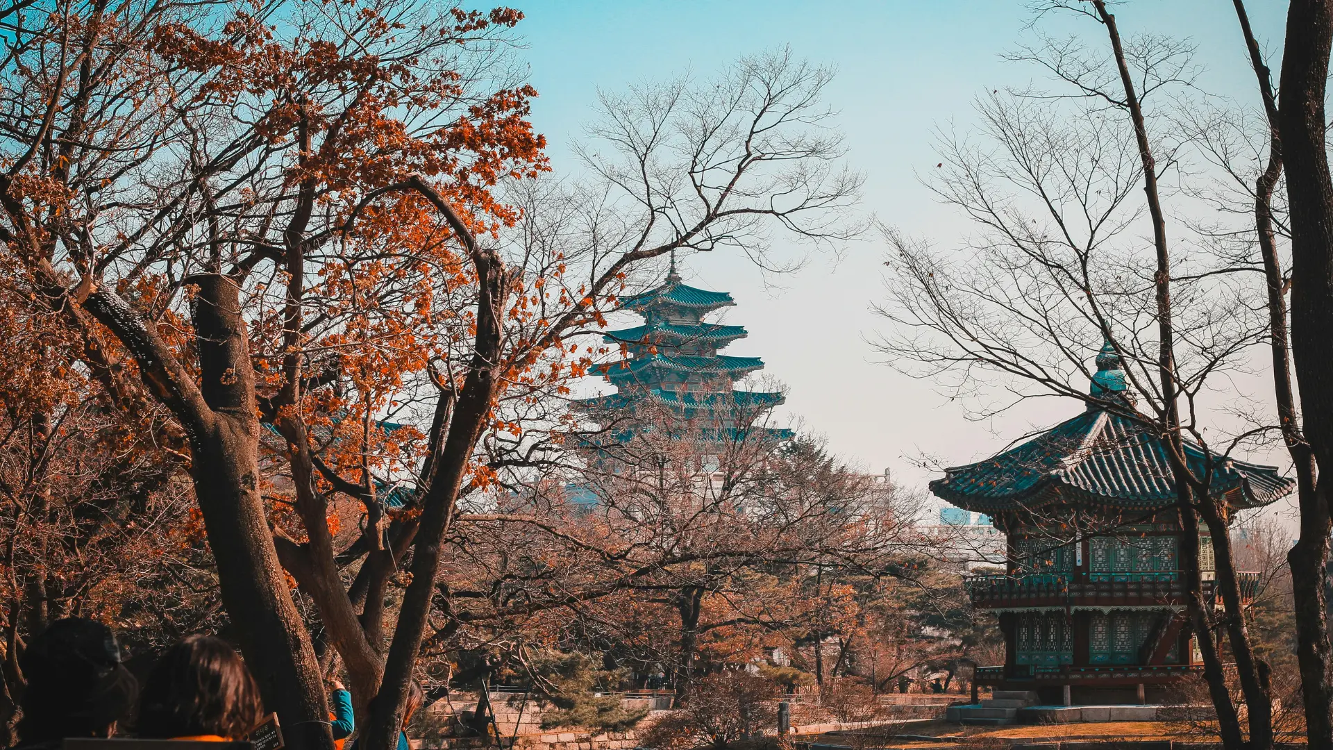 South Korea Travel Package Guide 2025: Best Deals, Itineraries, and Tips for First-Time Visitors