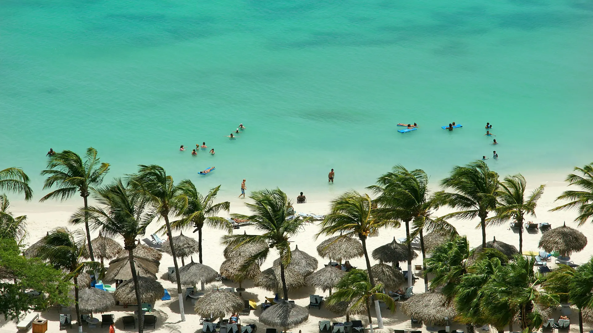 Discover the Best Time to Travel to Aruba for Sun, Sea, and Savings